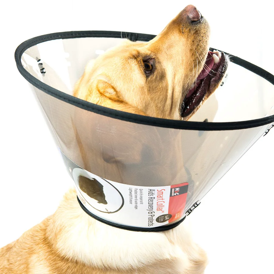 User-Friendly MDC Elizabethan Smart Dog Collar Minimalist