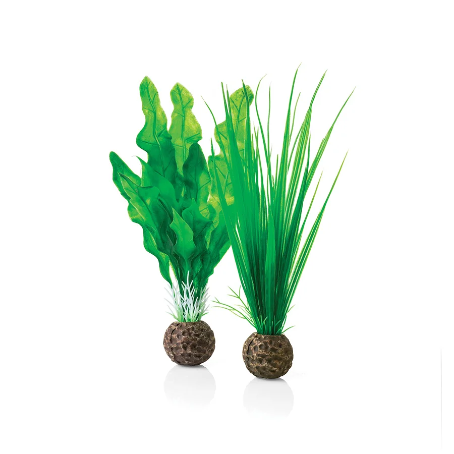 Original Design BiOrb Easy Plant Set Green Small High-End