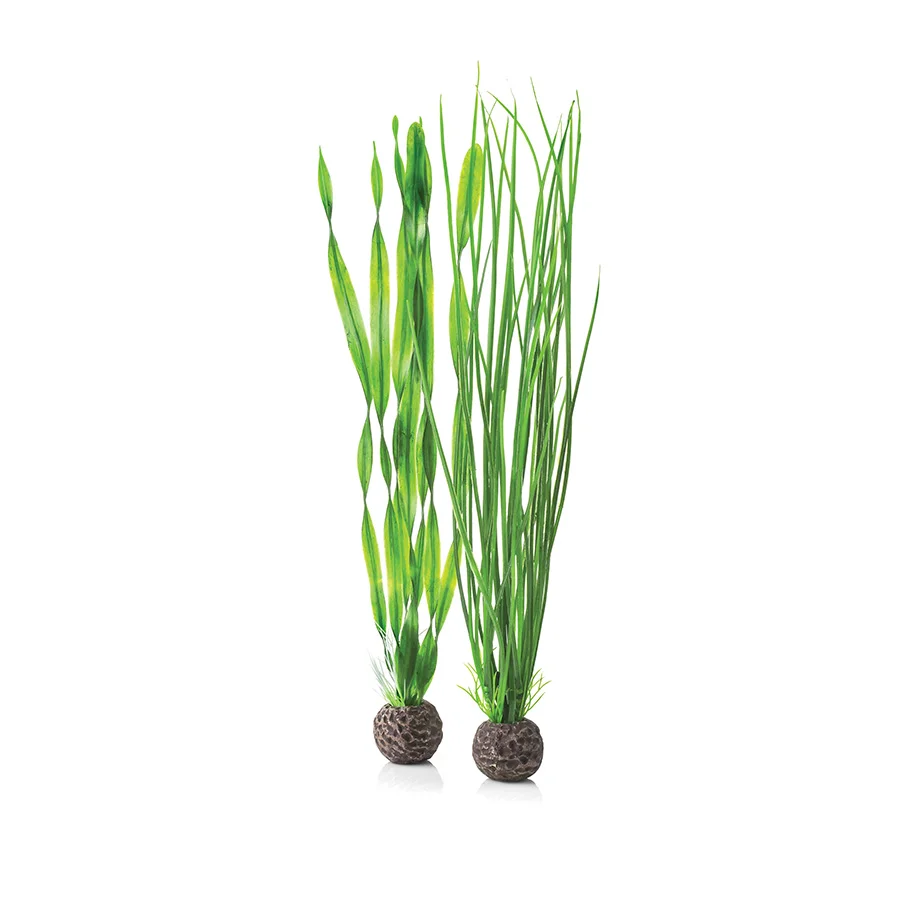 Top-Quality BiOrb Aquarium Easy Plant Set Green Large Powerful