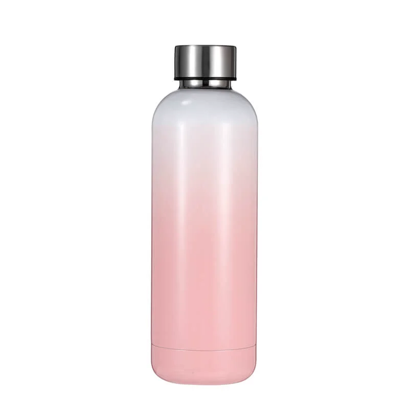 High-Performance 500ml Double Wall Insulated Metal Water Bottles 02549B Smart