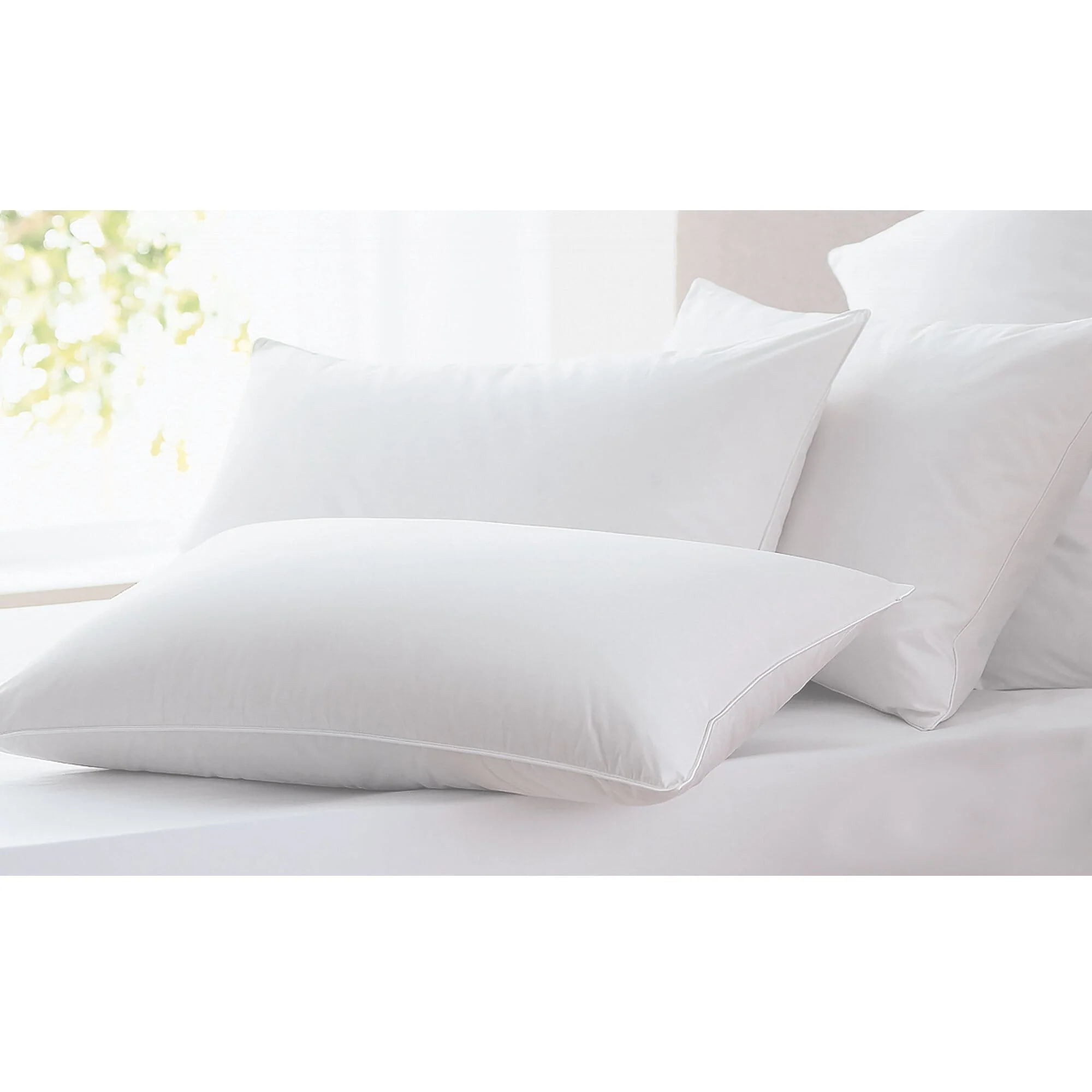 Pure Studio 707 - Jumbo Pillow Sustainable