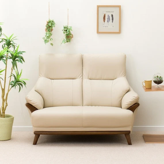 Trendy 2 SEAT SOFA N-SHIELD KOTEI3 BE Expertly Made