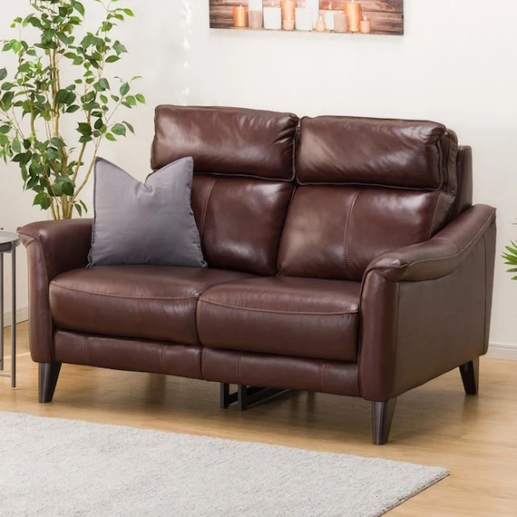 Excellent 2P SOFA CHERRYB SK DBR Functional