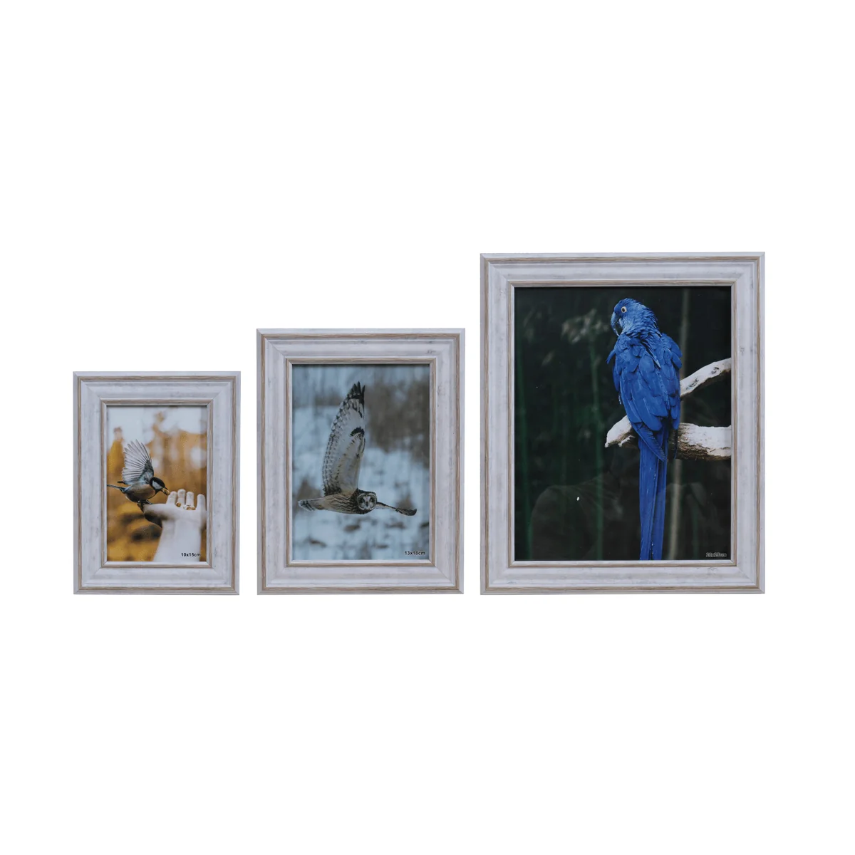 Minimalist LAUREN TAYLOR- Photo Frame White Wash Look Detailed
