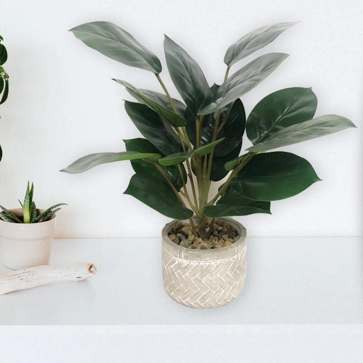 Reliable Plant In Chevron Cement Pot 15 46 Refined