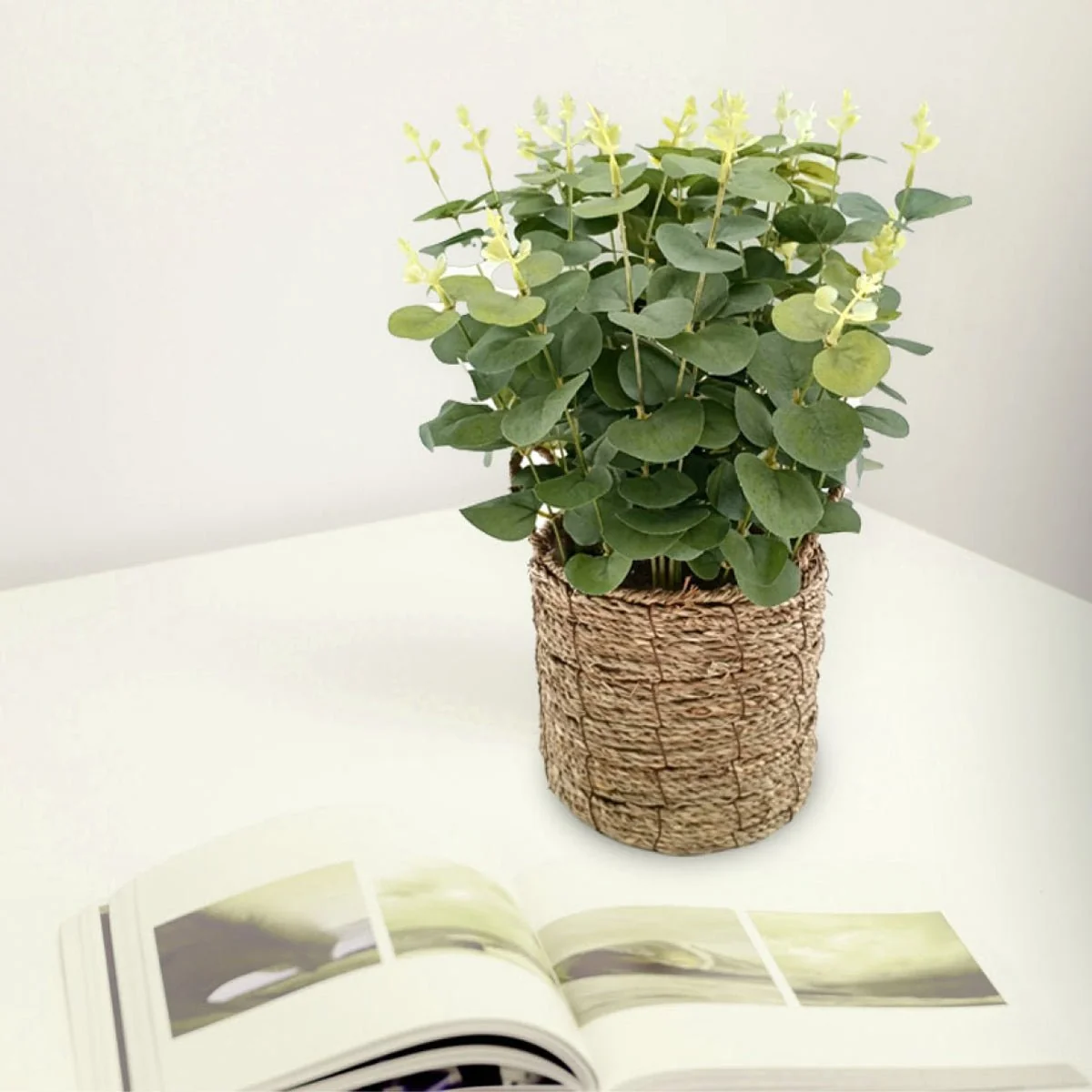Innovative Eucalyptus Grass Basket Soft