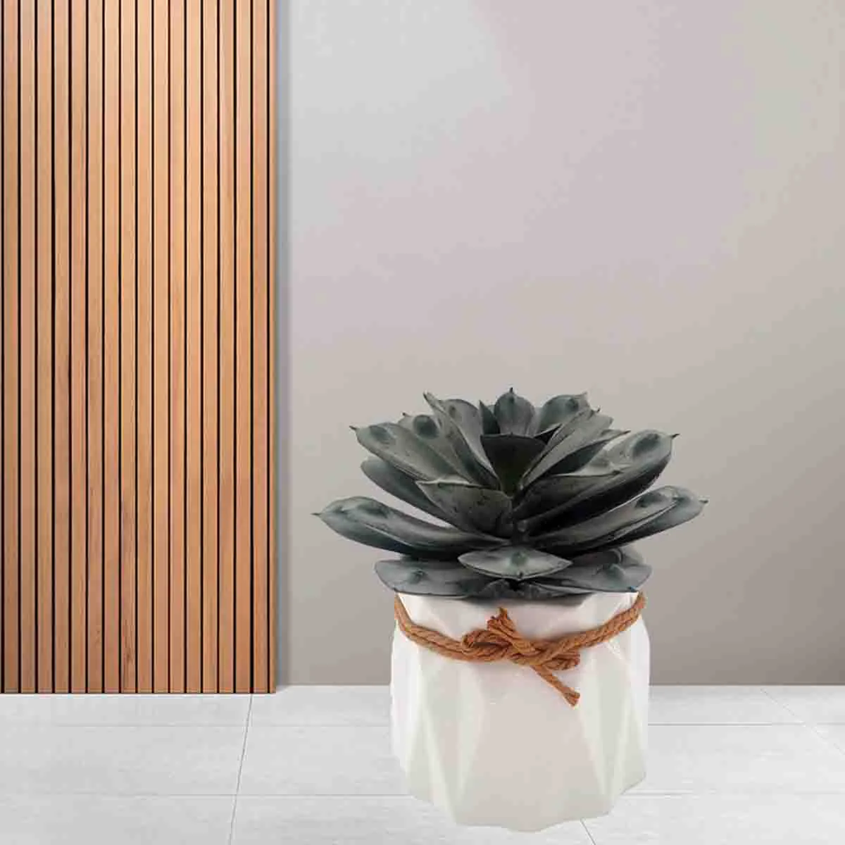 Professional Lauren Taylor - Succulent Geo Ceramic Pot Next-Generation