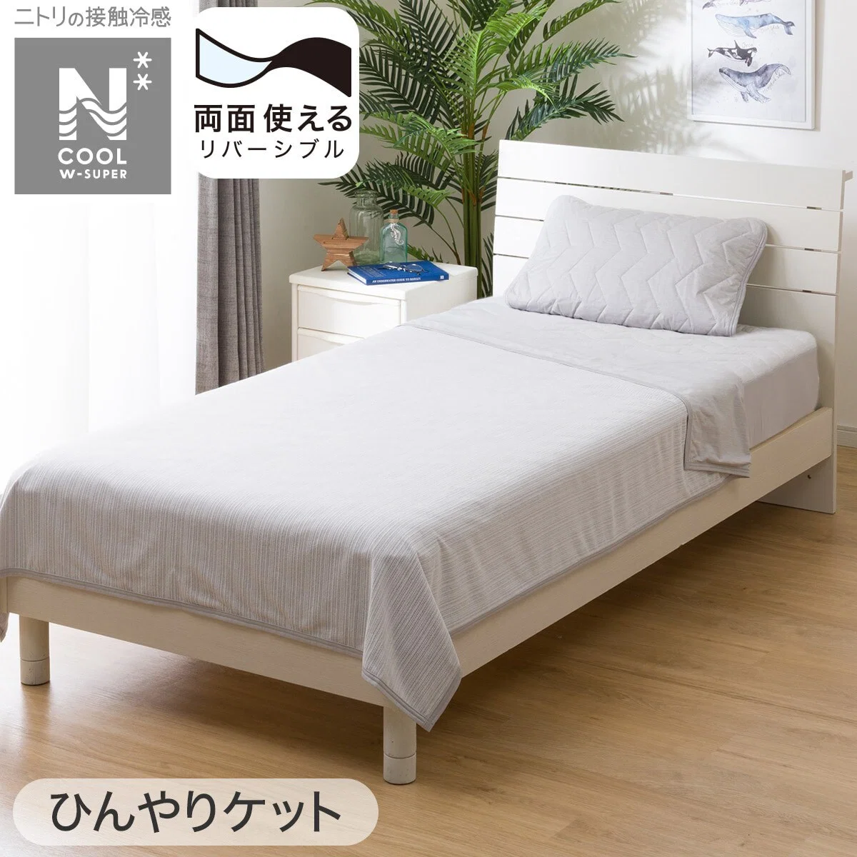 Sophisticated ICY KET N COOL WSP Q GY S2403 Stylish