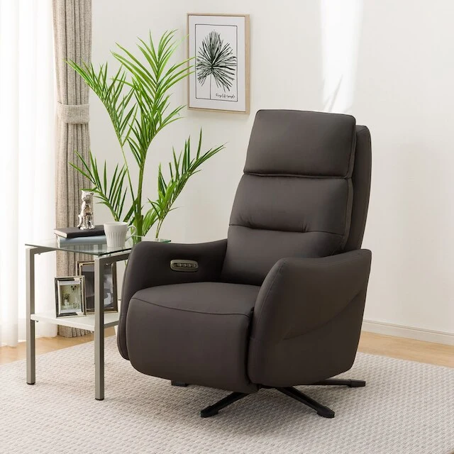 Excellent 4MOTOR ELECTRIC PERSONALCHAIR LE01-2 DBR Flexible