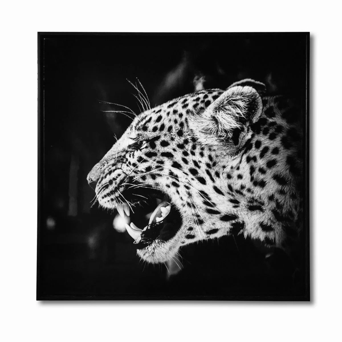 Elegant LAUREN TAYLOR-Canvas Animal 25 X25 X1.3 Durable