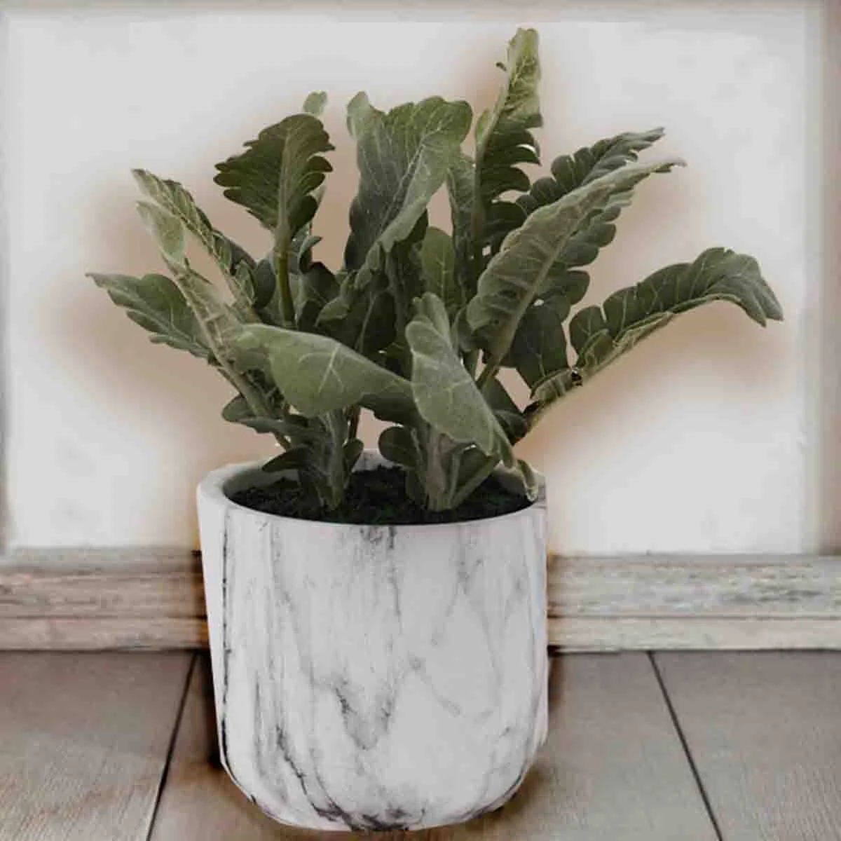 Refined Artificial Lamb's Ear in White Marble Ceramic Pot Practical