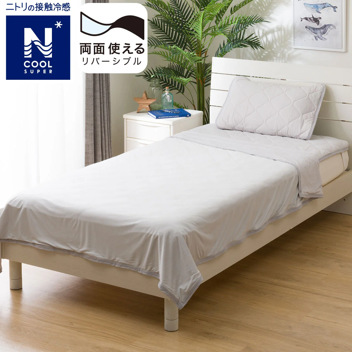 Carefully Designed ICY KET N COOL SP D GY S2402 Original Design