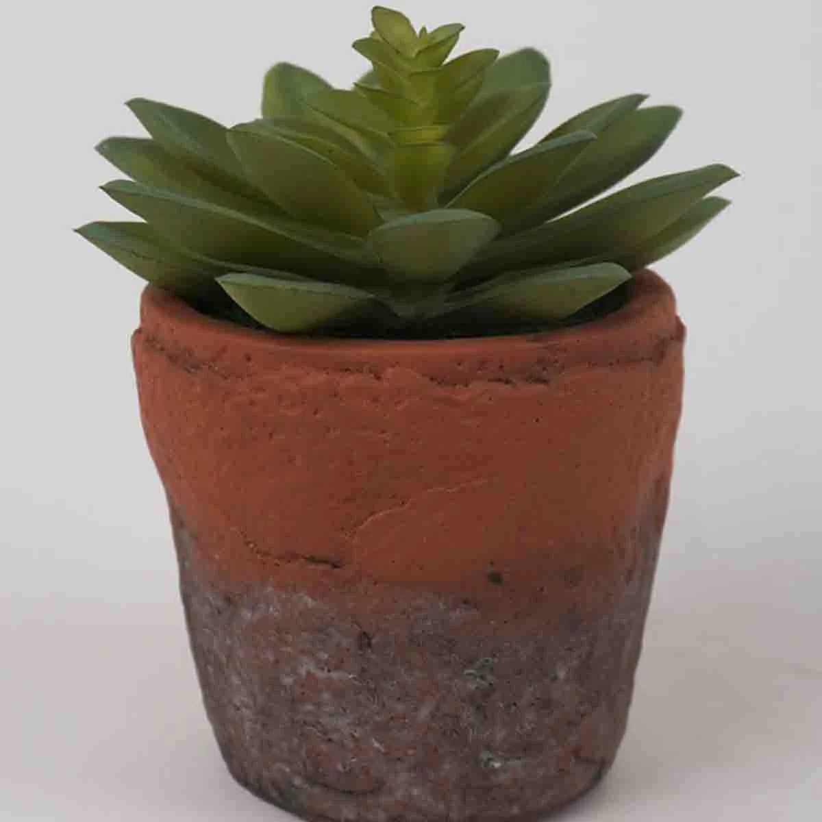 High-Grade Lauren Taylor - Succulente artificielle dans un pot en terre cuite Premium Material
