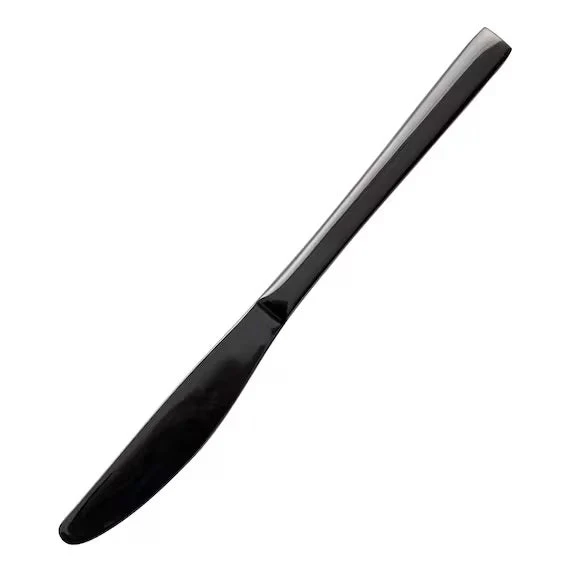 Specialty TABLE KNIFE PR01 BK Trendy