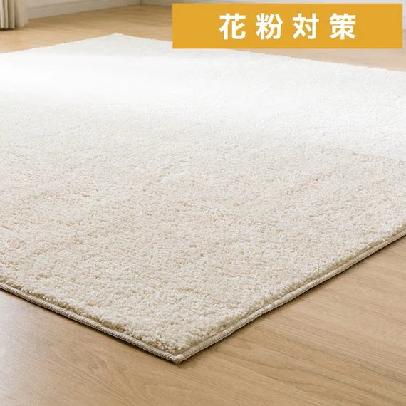 Reliable SHAGGY RUG 200X240 BE SR002 Modern