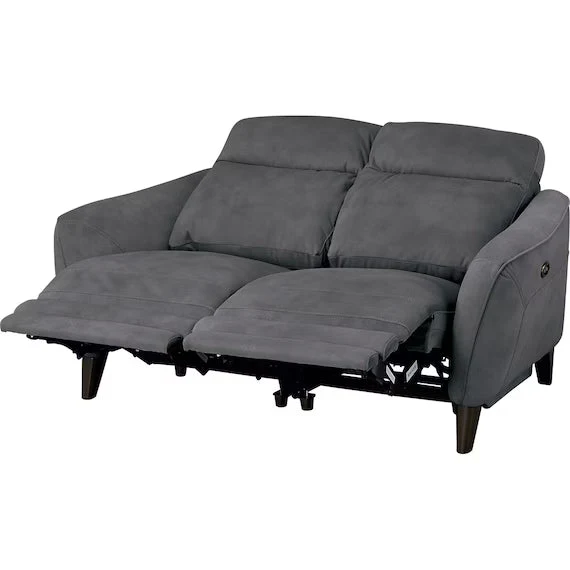 Fine ELECTRIC 2P SOFA LS06 PEY DGY Smart