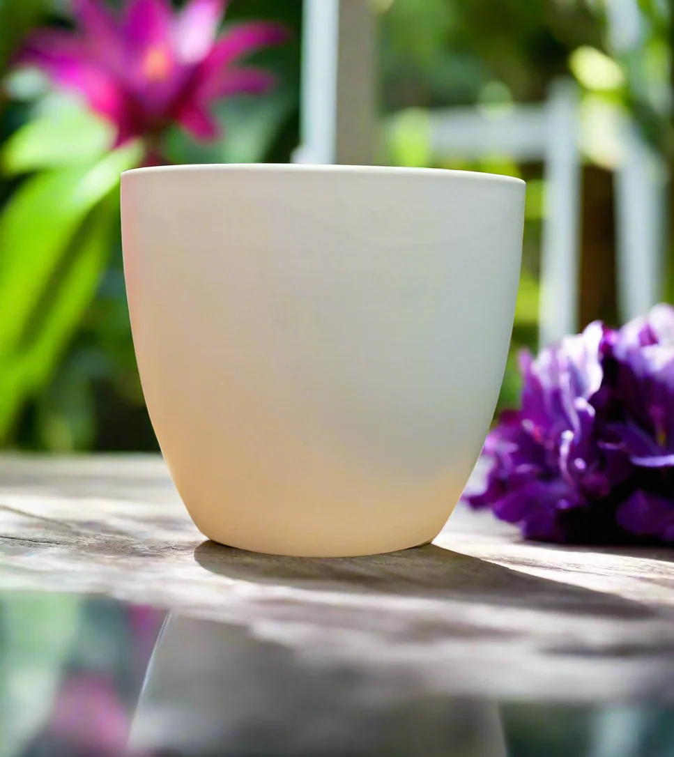 Certified LILY CACHE POT 5.5 quot MATTE WHITE Efficient