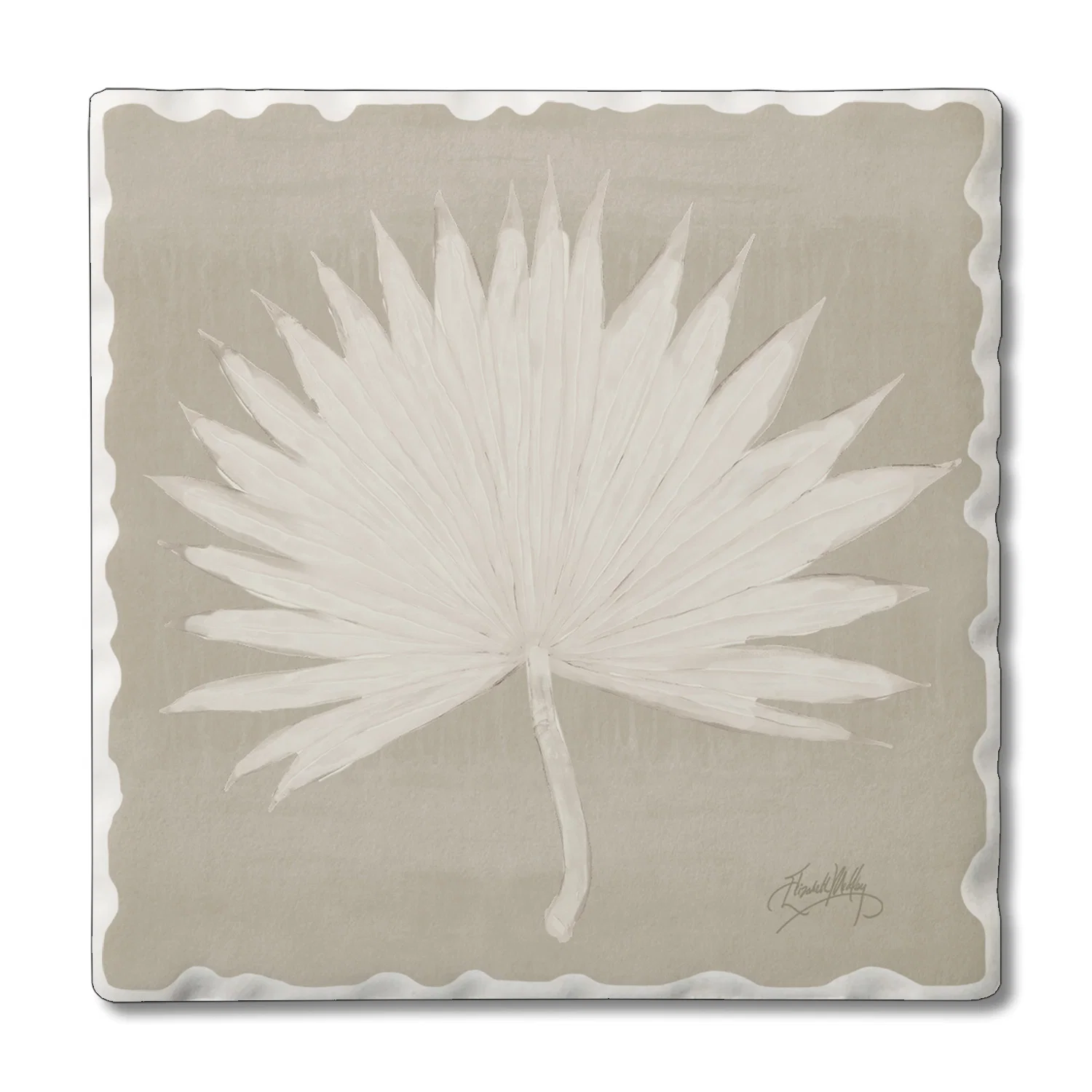 Natural COASTER FAN PALM Eco-Friendly