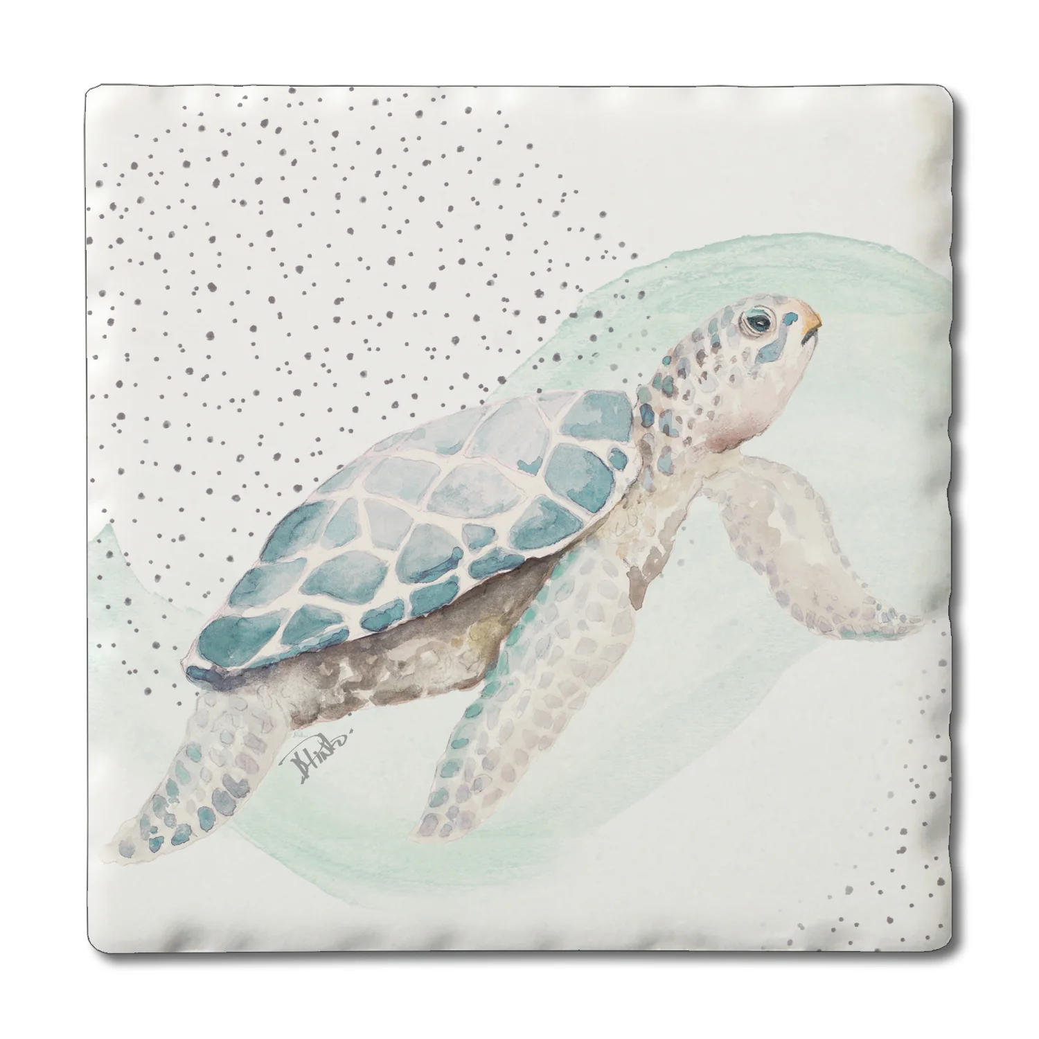 High-Performance COASTER SEA TURTLE Premium