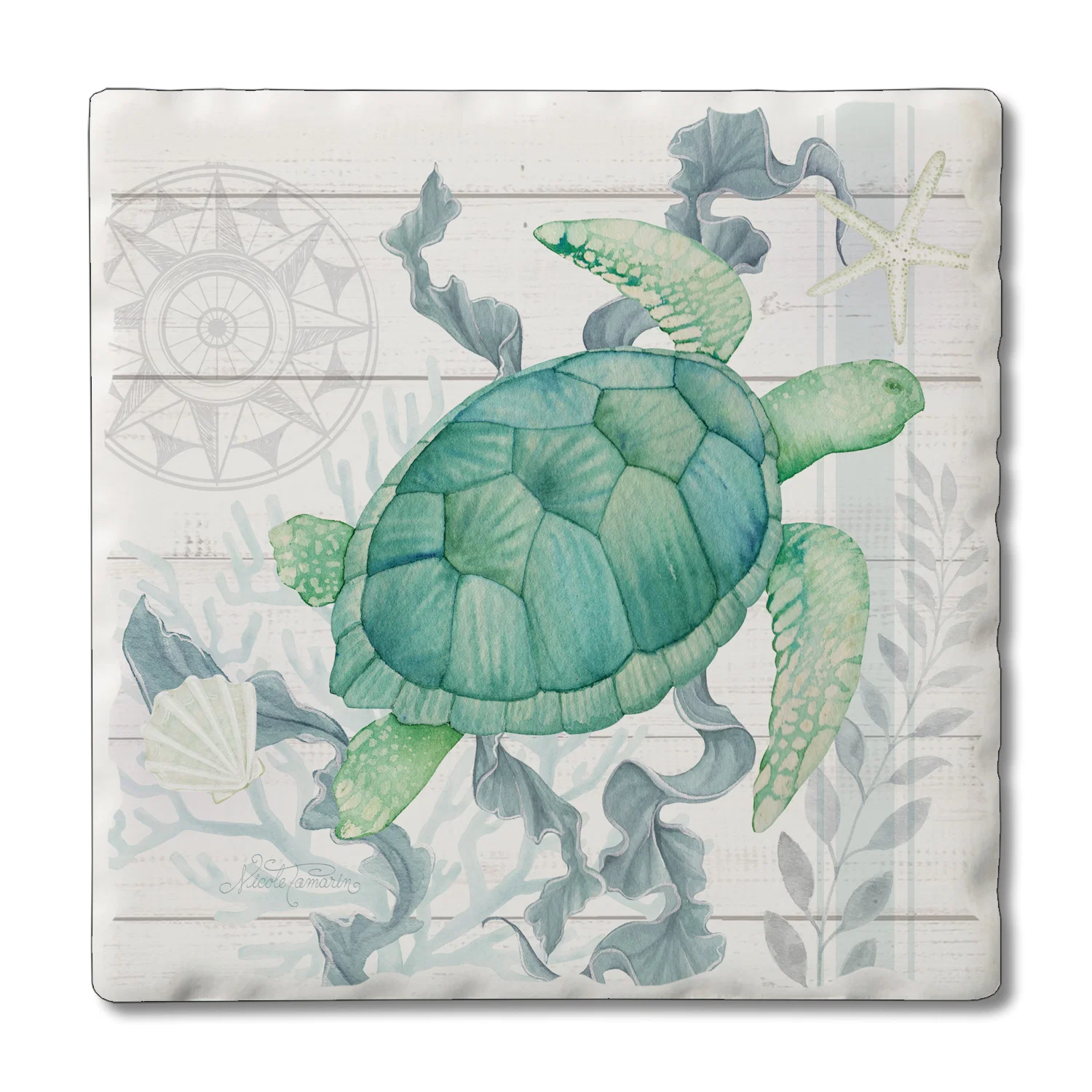 Exclusive COASTER BEACH THERAPY TURTLE Innovative