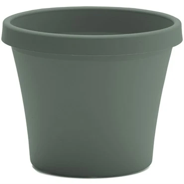 Exceptional TERRA PLANTER 4 quot BASIL Advanced