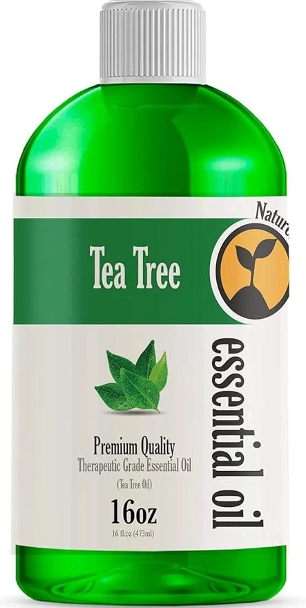 Carefully Designed Natures-Star 16oz Exceptional