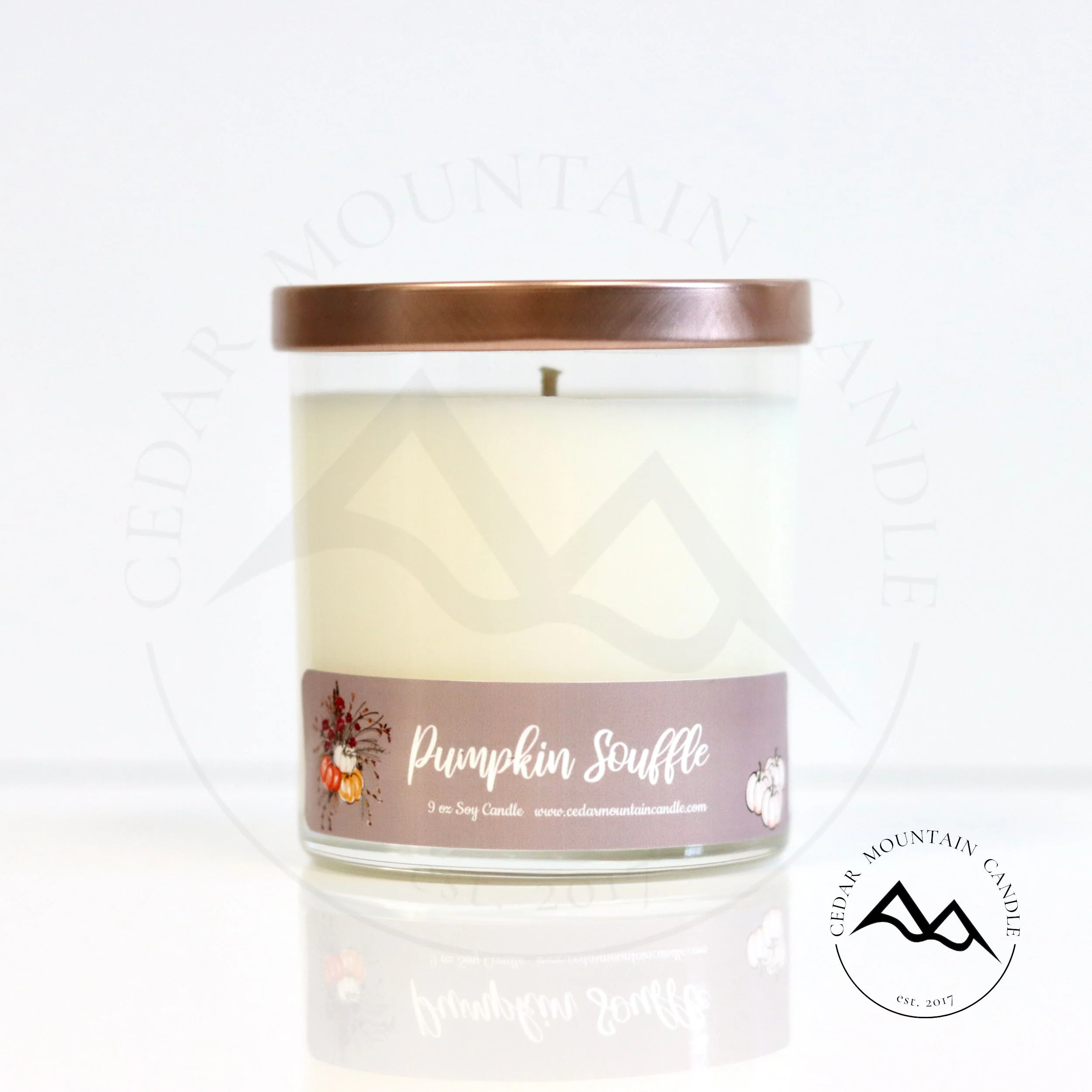 Official Fall Mauve Pumpkin 9 oz Jar Soy Candle Solid