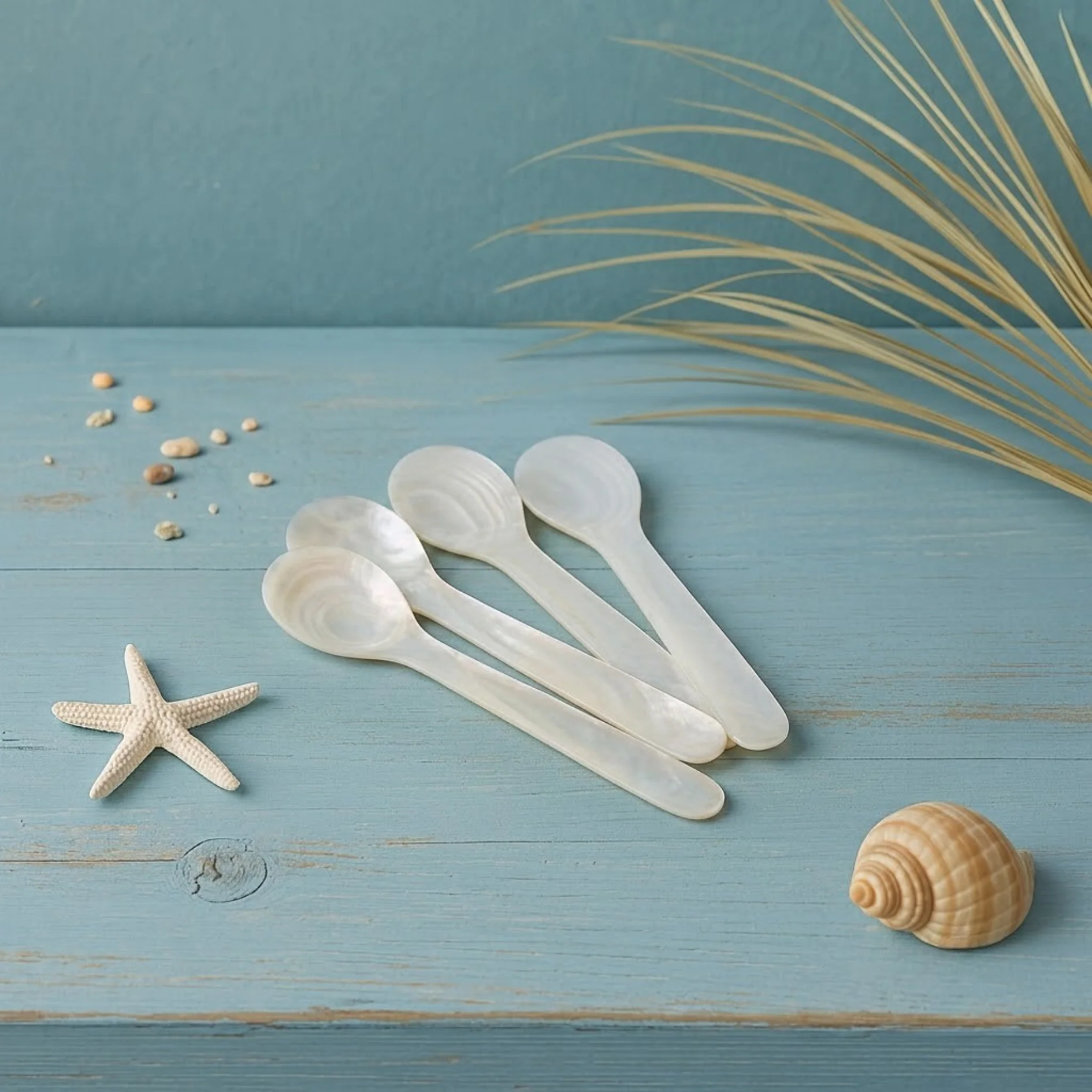 Proven Large Shell Spoons Set of 4 Environmentally Friendly