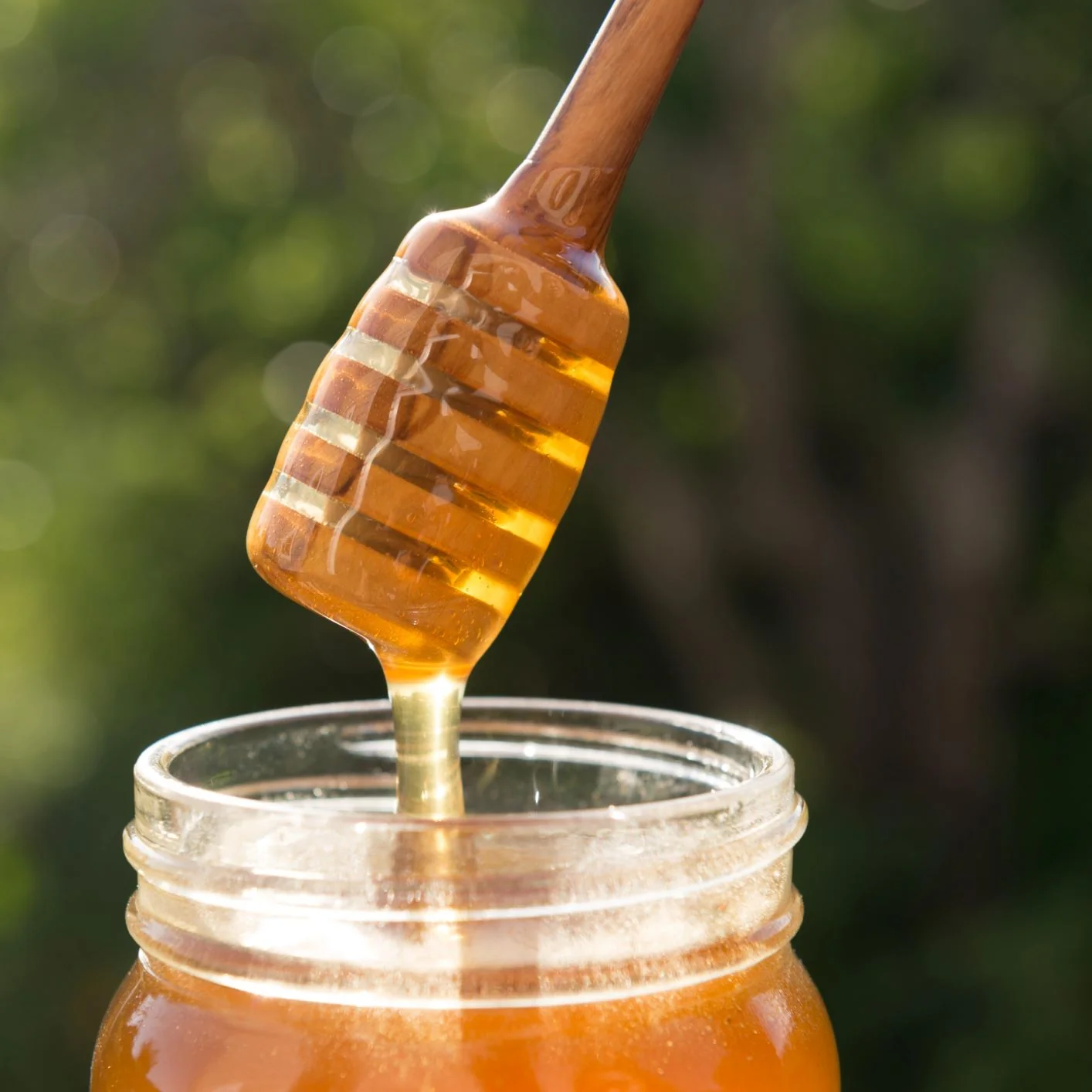 Consistent Olive Wood Honey Dip Traditional