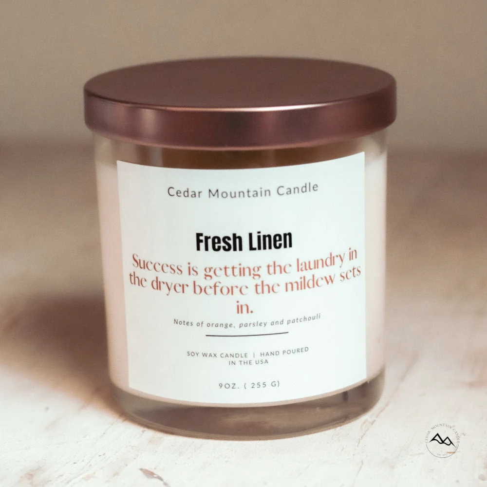 Exceptional Success is Getting the Laundry in the Dryer before the Mildew Sets - 9 oz Soy Candle Original