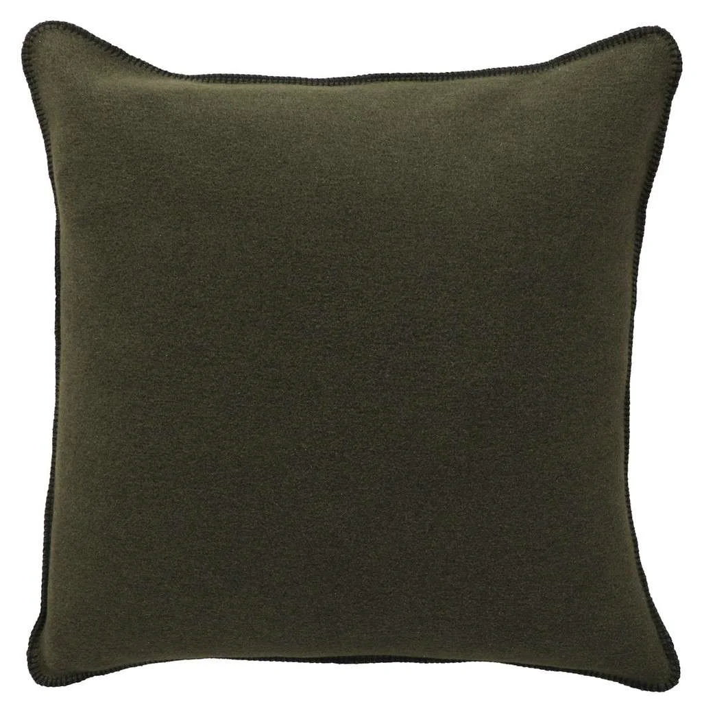 Practical Solid Sage Euro Sham Soft
