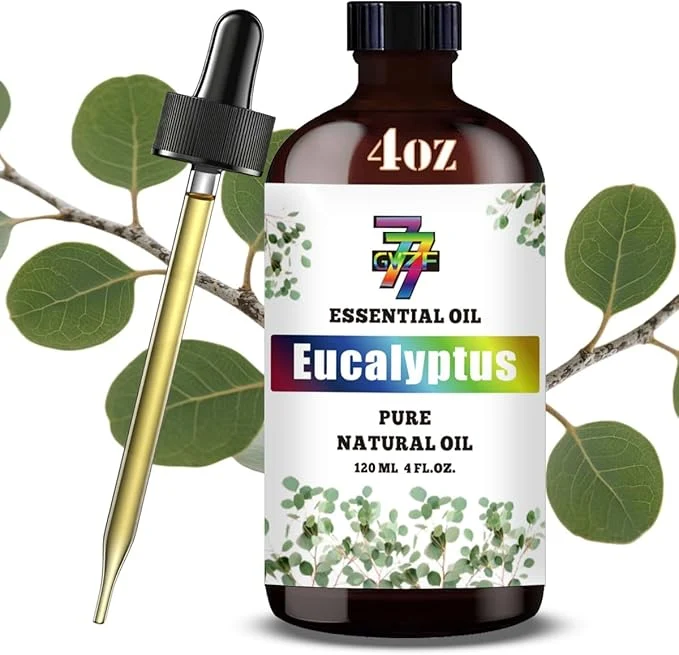 Trusted Eucalyptus Essential Oil Contemporary