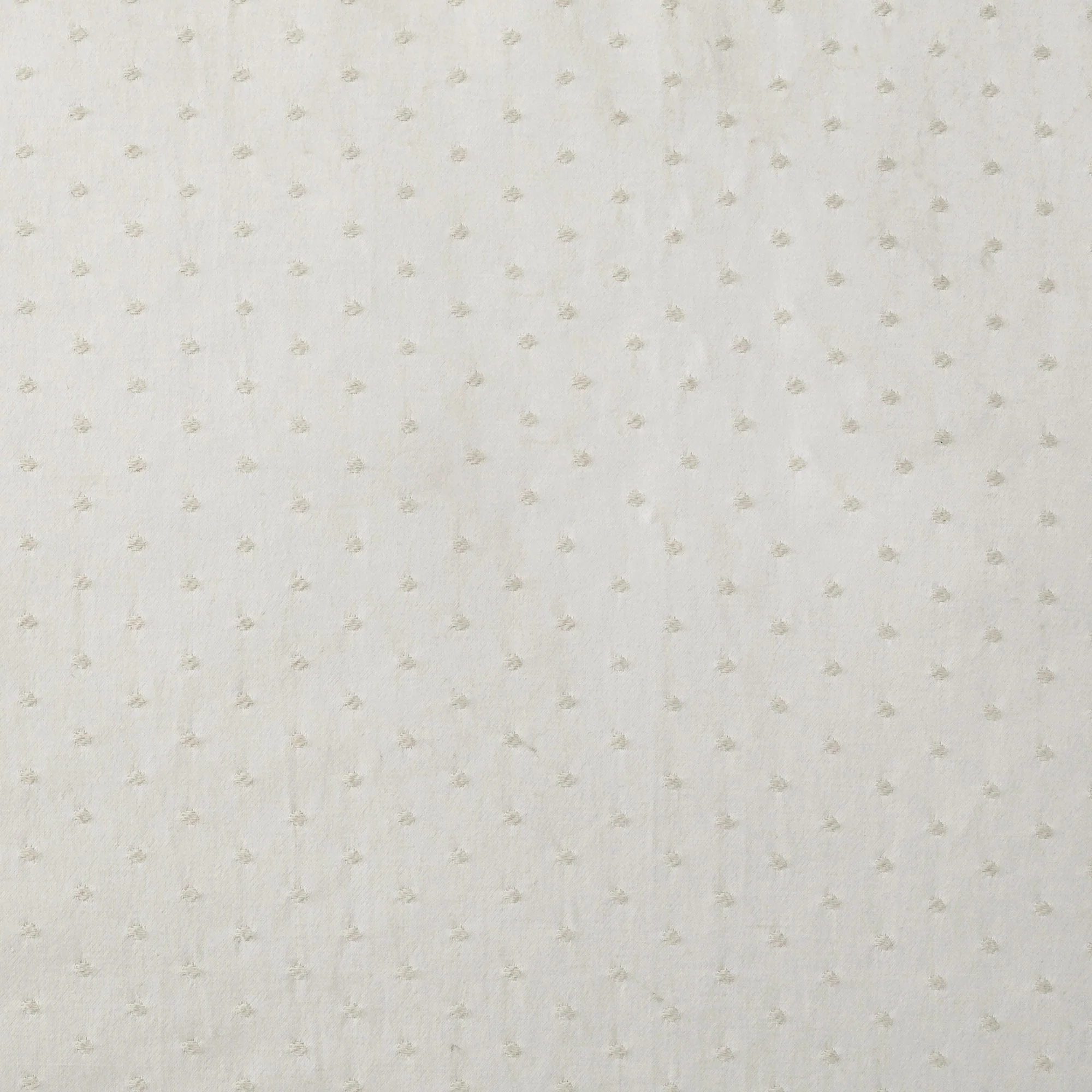 Exclusive Belle Swiss Dot Swatch Healthy