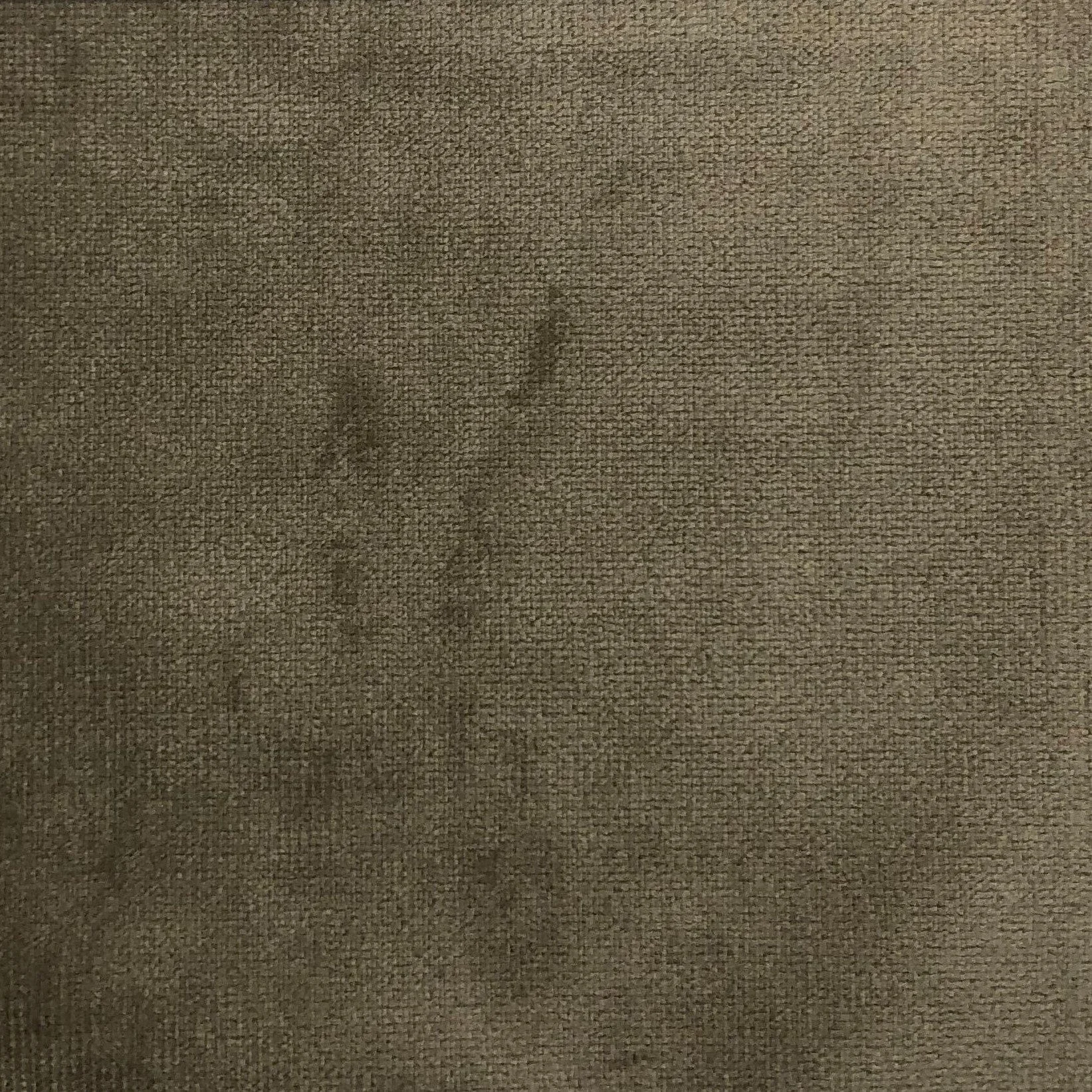 Fine Sand Velvet Swatch Genuine