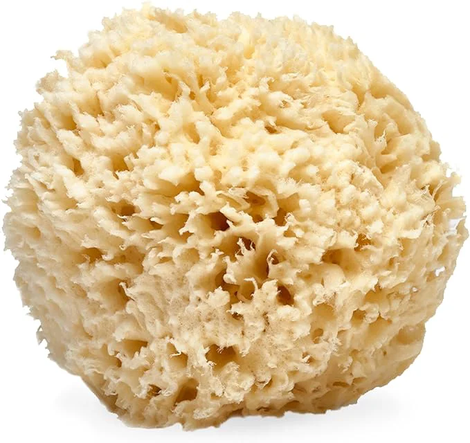Minimalist LATHER - Natural Sea Wool Sponge 5-6 - Organic Exfoliating Body Scrubber - Genuine