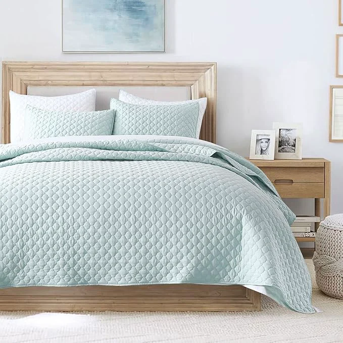 Long-Lasting HORIMOTE HOME Quilt Twin Size Aqua Blue Lightweight Quilt for Summer Ultra-Soft Microfiber Modern Style Quilted Clouds Pattern Bedspread Quit Set 2 Pieces 1 Quilt and 1 Pillow Sham Green