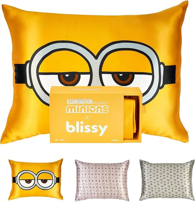 Solid Blissy Silk Pillowcase - Pure Mulberry Silk - 22 Momme 6A High-Grade Fibers - Silk Pillow Cover for Hair amp Skin - Regular Queen amp King Minion 20 quot x 30 quot Pack of 1 Soft