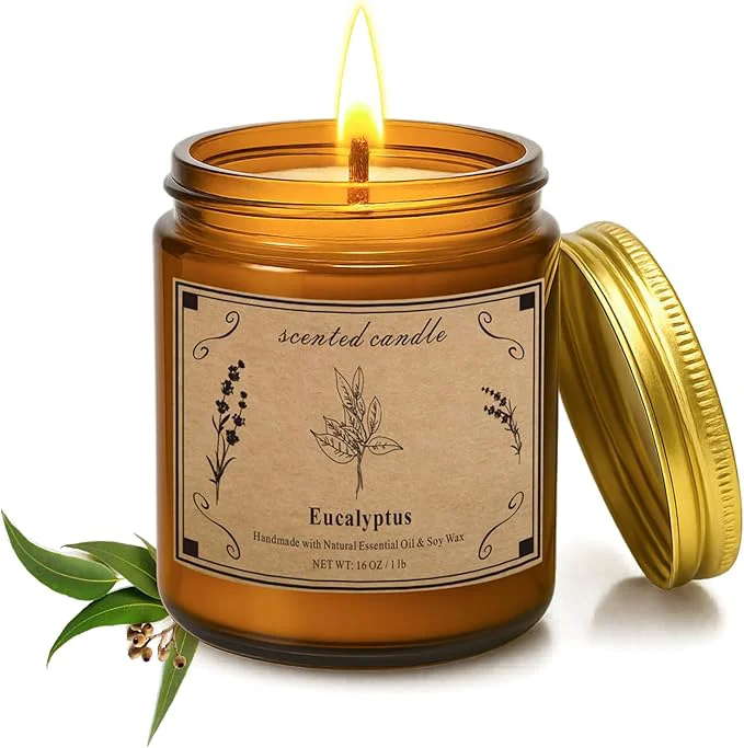 Convenient Home Scented Candles 16oz Large Jar Scented Candle – Eucalyptus Soy Wax Candle High-Performance