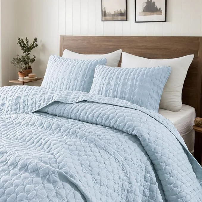 Powerful WDCOZY Light Blue Quilts Queen Size Bedding Set with 2 Pillow Shams Lightweight Soft Full Bedspread Coverlet Thin Comforter Bed Cover for All Season 3 Pieces 90x90 inches Traditional