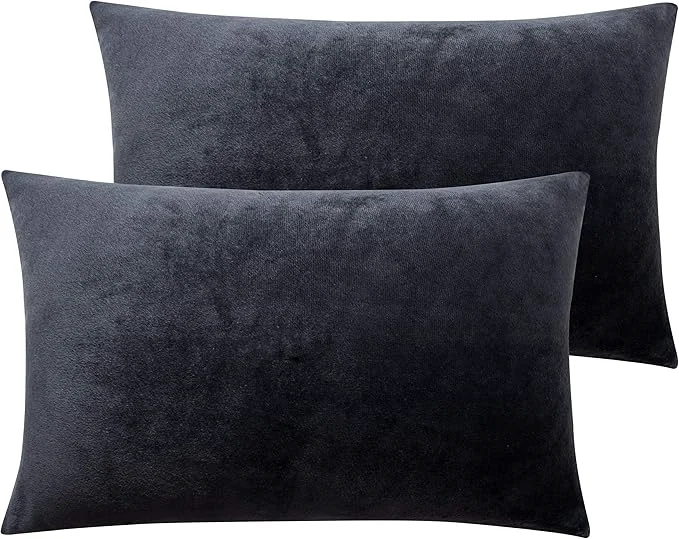 Relaxed NTBAY 2 Pack Zippered Velvet Queen Pillowcases Super Soft and Cozy Luxury Fuzzy Flannel Pillow Cases with Zipper 20x30 Inches Charcoal Grey High-Performance