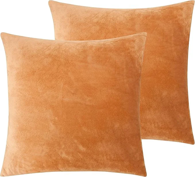 Optimized NTBAY Velvet 2 Pack Square Zippered Throw Pillow Covers Super Soft and Luxury Euro Cushion Covers for Sofa Couch 24x24 Inches Ginger Yellow Elite