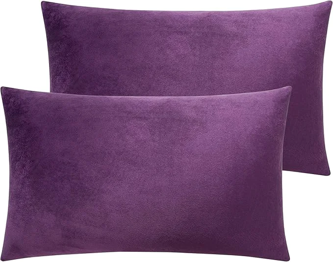 Contemporary NTBAY Velvet 2 Pack Zippered Throw Pillow Covers Super Soft and Luxury Decorative Lumbar Cushion Covers for Sofa Couch 12x20 Inches Purple Unique