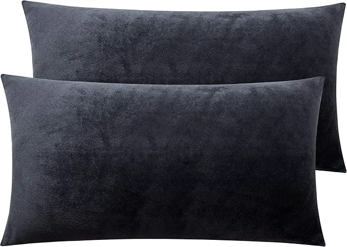 Minimalist NTBAY 2 Pack Zippered Velvet King Pillowcases Super Soft and Cozy Luxury Fuzzy Flannel Pillow Cases with Zipper 20x36 Inches Charcoal Grey Reliable