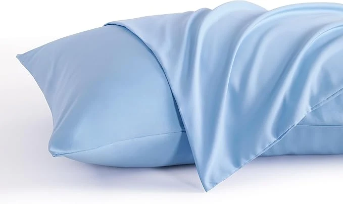 Fine NTBAY Queen Pillow Cases Set of 2 2 Pack Brushed Microfiber 20x30 Pillow Cases Soft Wrinkle Fade Stain Resistant Sky Blue Pillow Cases with Envelope Closure 20x30 Inches Sky Blue Contemporary