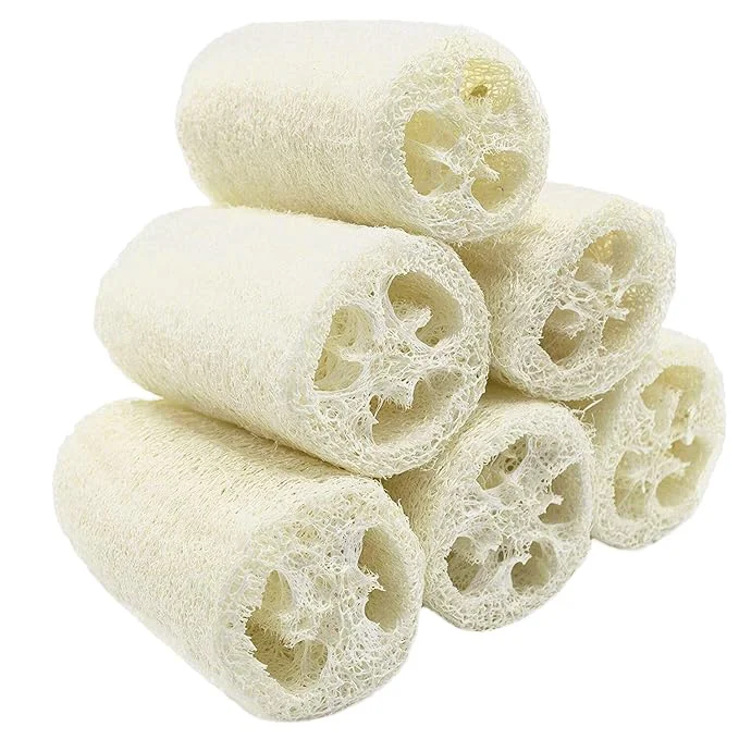 Efficient Large Nature 6 Pack of Organic Loofahs Loofah Spa Exfoliating Scrubber Optimized