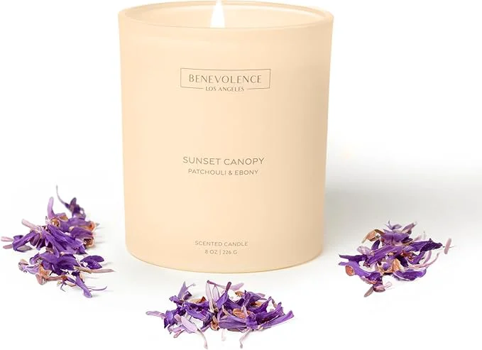 Easy-to-Use Patchouli Ebony – Benevolence LA Scented Candle 8oz 45-Hour Burn Natural Innovative