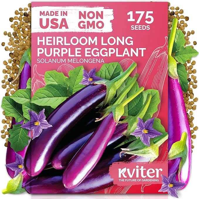 Smart KVITER 175 Long Purple Eggplant Seeds – Asian Eggplant Dark Purple Italian Egg Innovative