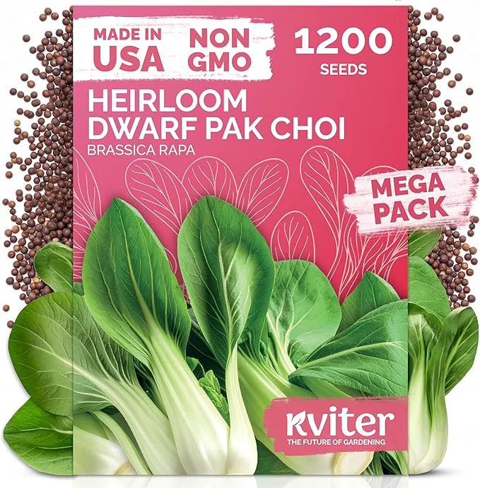 Soft KVITER 1 200 Baby Bok Choy Seeds Healthy