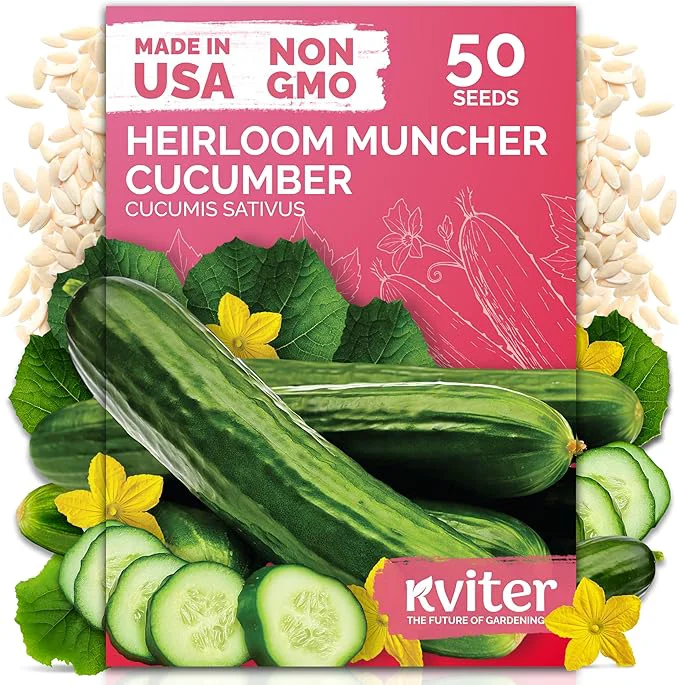 Detailed KVITER 50 Muncher Cucumber Seeds – Burpless Seedless Cucumber Organic Outstanding