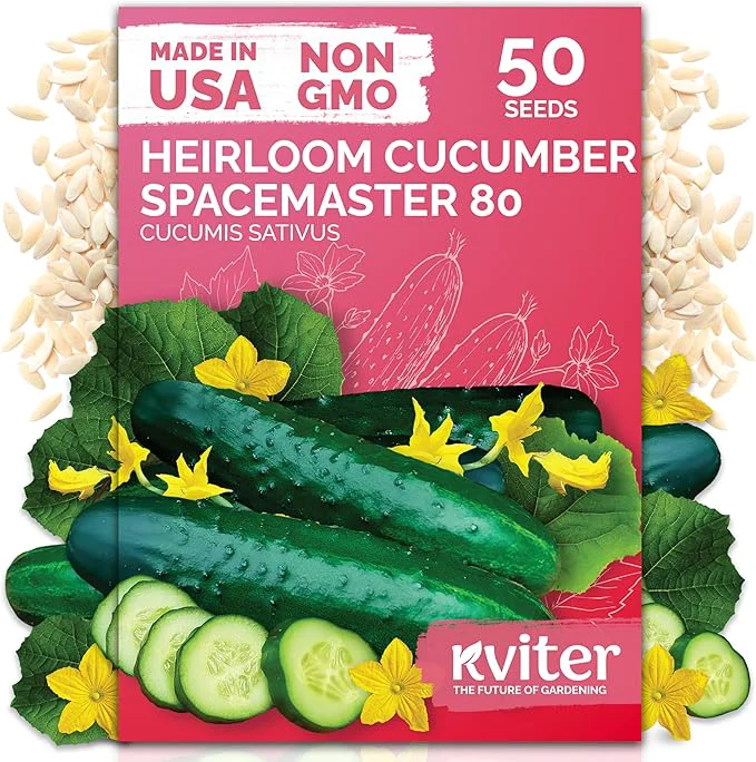 Luxury KVITER 50 Spacemaster 80 Cucumber Seeds Solid